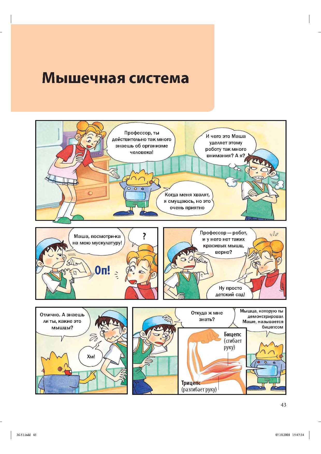 Суставы скелет мышечная система Суставы скелет мышечная система