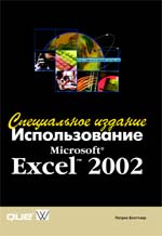  Microsoft Office Excel 2002.  
