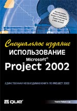   Microsoft Office Project 2002.  